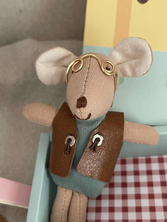Mousicle - Sweet Treat Box with a Man Mouse House along with some accessories.