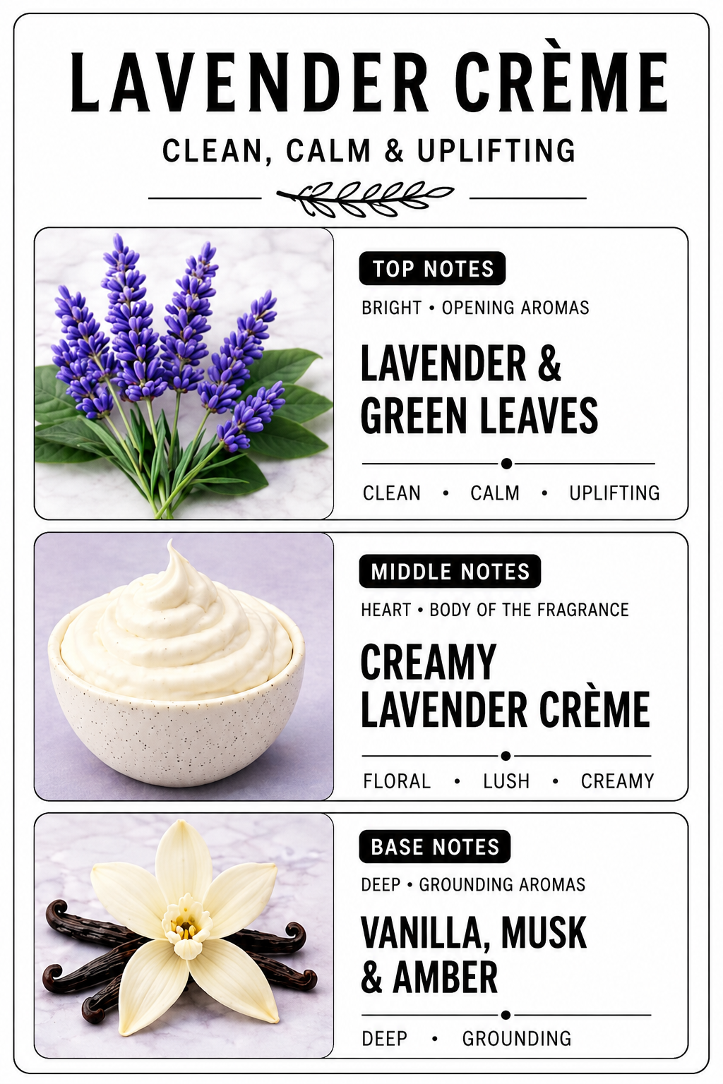 Whipped lavender Creme Luxury Candle | Coconut Apricot Wax | Sweet Spa Refresh | Simple Clean white 4oz Tin |